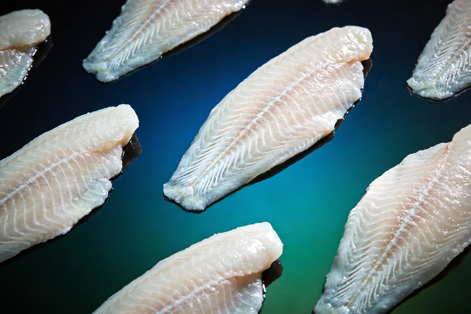 Frozen Tilapia Fillets